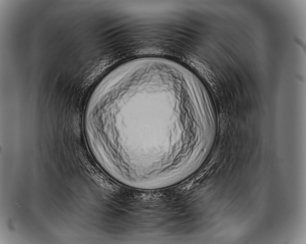 X0000097000345200802291152