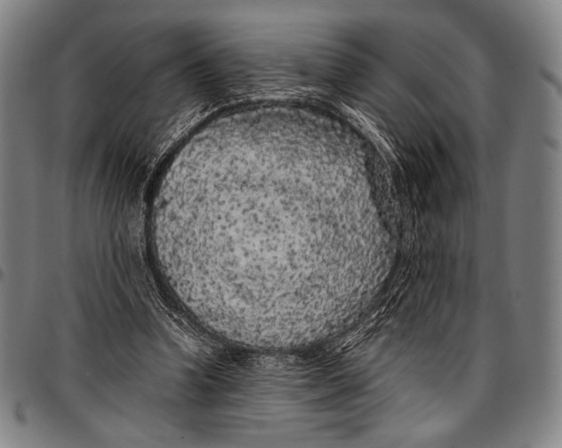 X0000097000346200802291152