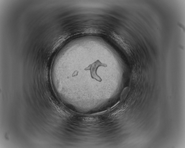 X0000097000347200802291152