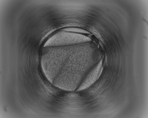 X0000097000348200802291153