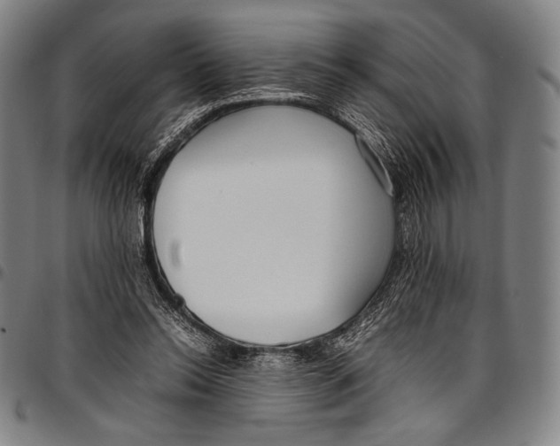 X0000097000350200802291153