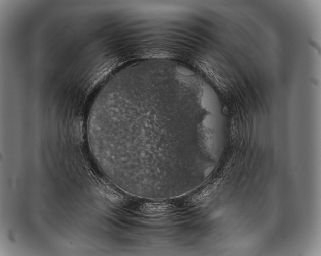 X0000097000351200802291153