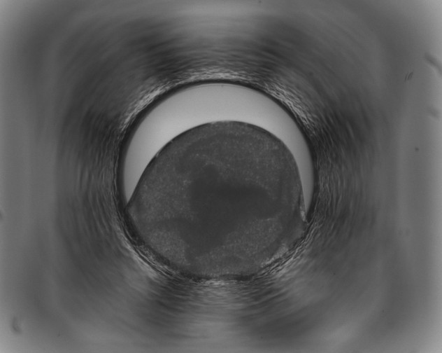 X0000097000352200802291153