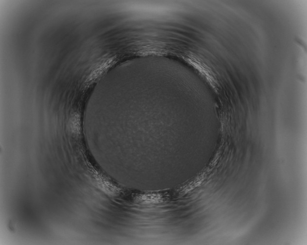 X0000097000353200802291153