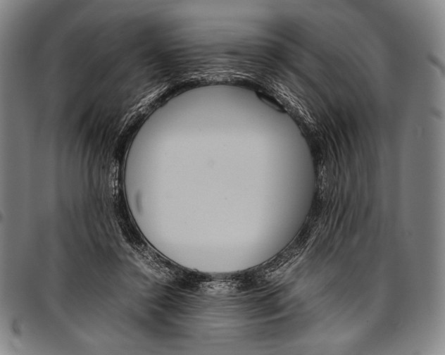 X0000097000356200802291153