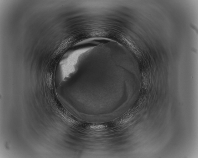 X0000097000357200802291153