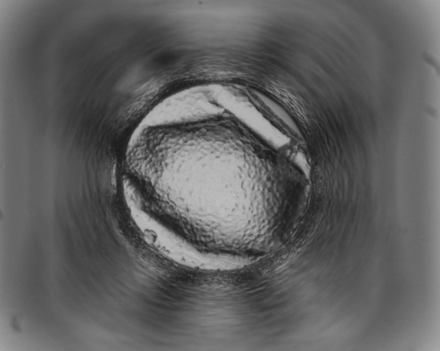 X0000097000358200802291153