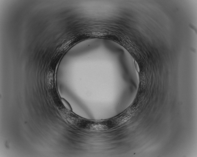 X0000097000360200802291153