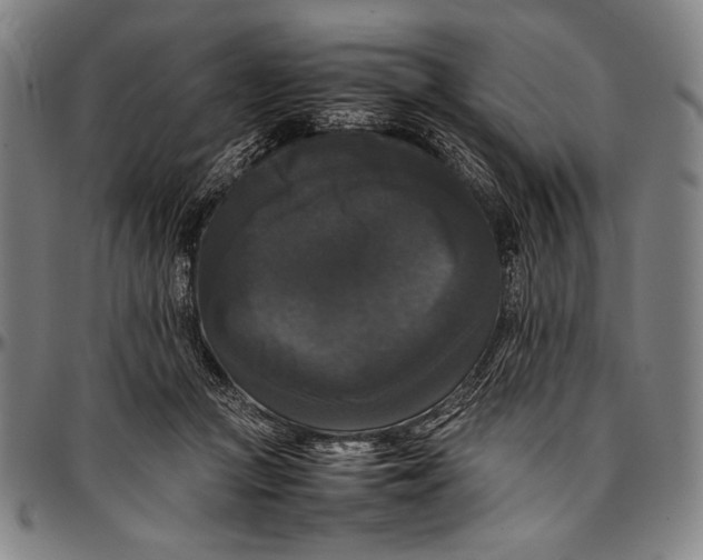 X0000097000361200802291153