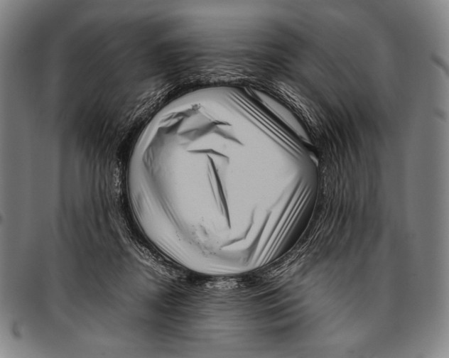 X0000097000362200802291153