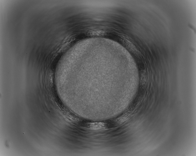 X0000097000363200802291153