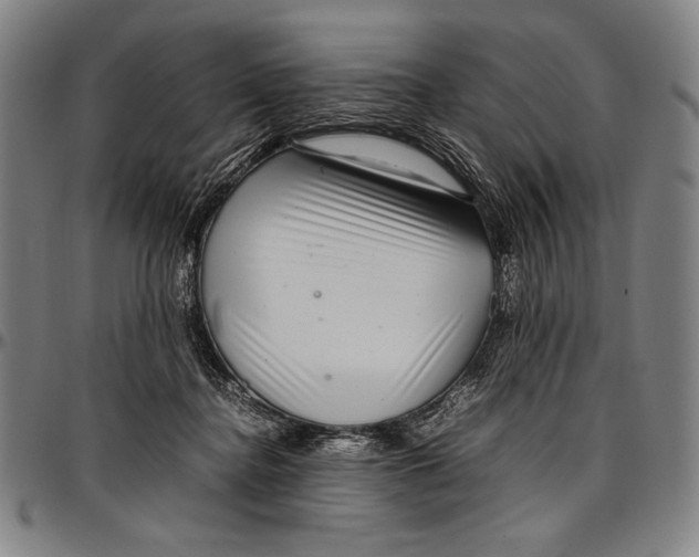 X0000097000364200802291153