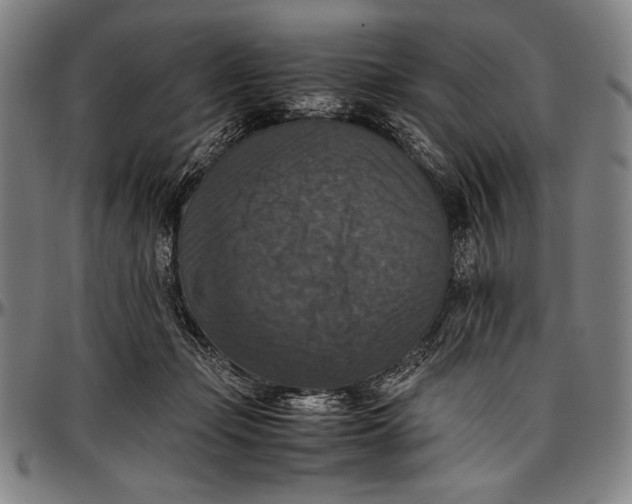 X0000097000365200802291153