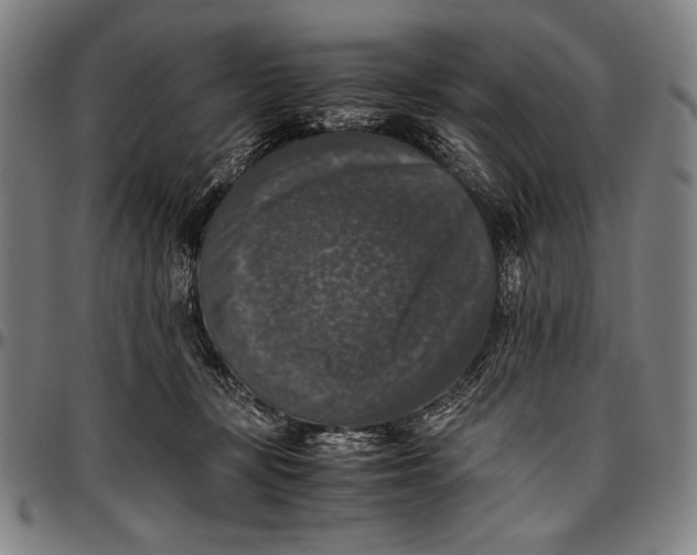 X0000097000367200802291153