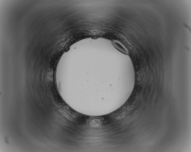 X0000097000368200802291153