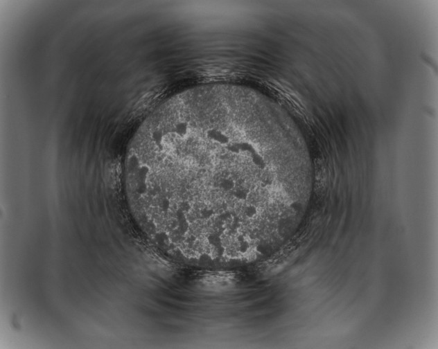 X0000097000369200802291153