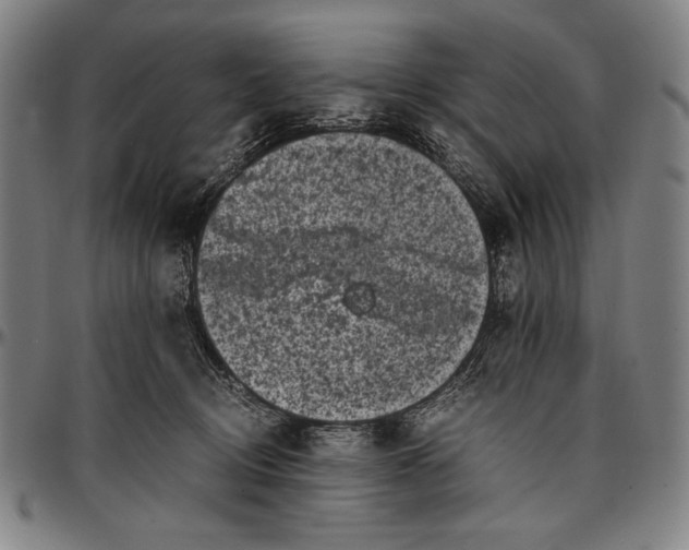 X0000097000370200802291153