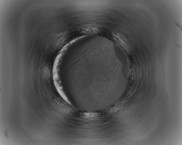 X0000097000371200802291153