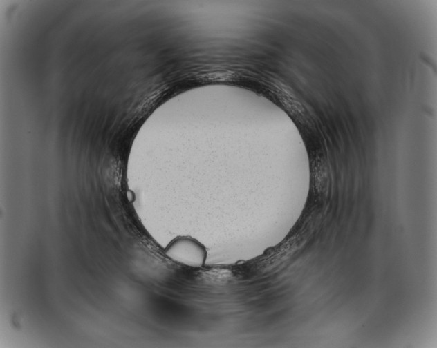 X0000097000374200802291153