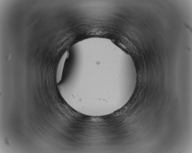 X0000097000376200802291153