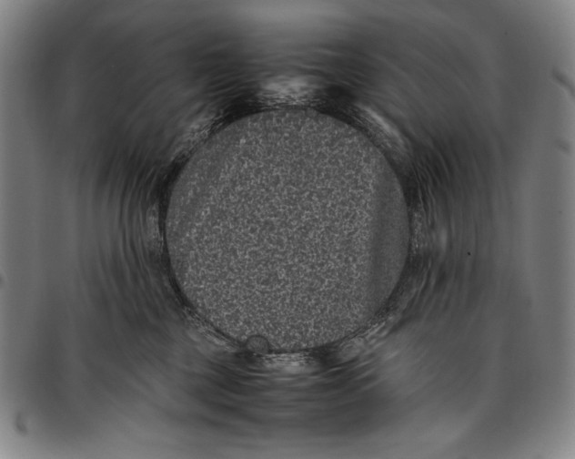 X0000097000377200802291153