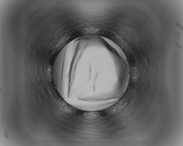 X0000097000378200802291153