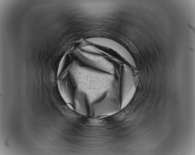 X0000097000380200802291153