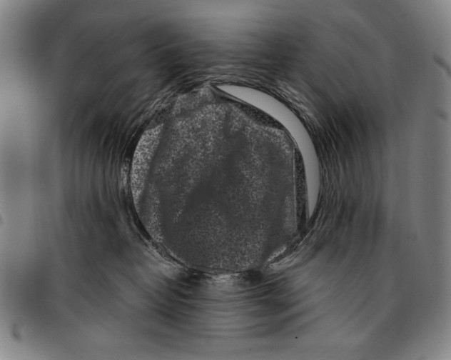 X0000097000382200802291153