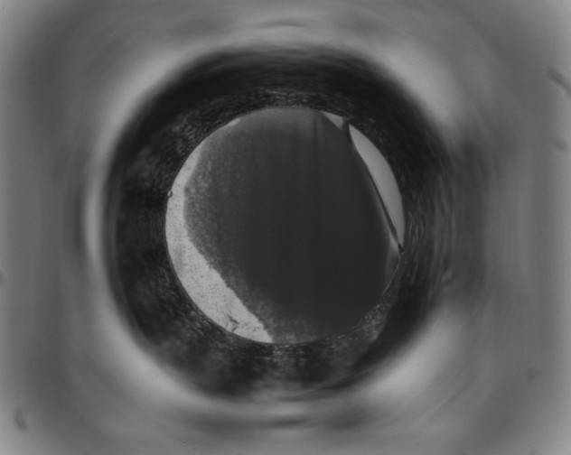 X0000097000383200802291153