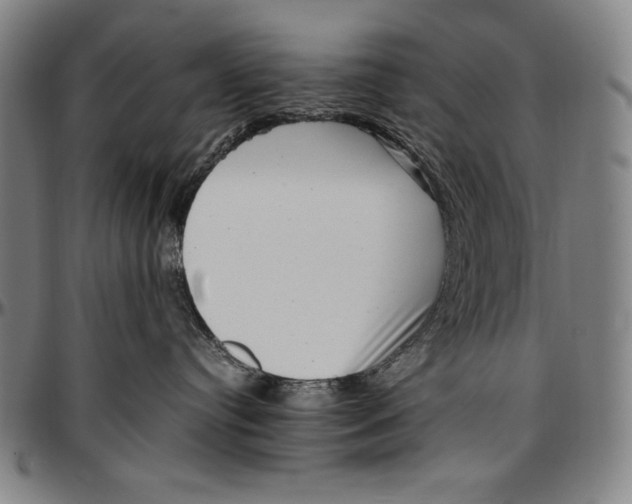 X0000097000384200802291153