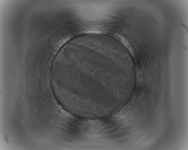 X0000097000385200802291152