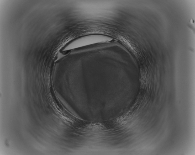 X0000097000386200802291152