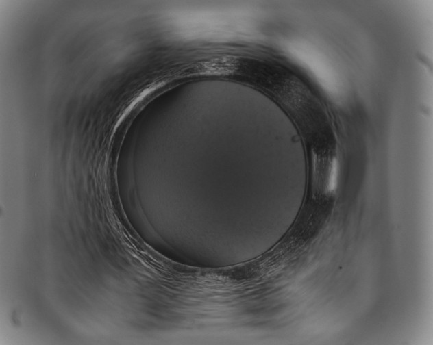 X0000097000387200802291152