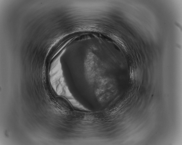 X0000097000388200802291152