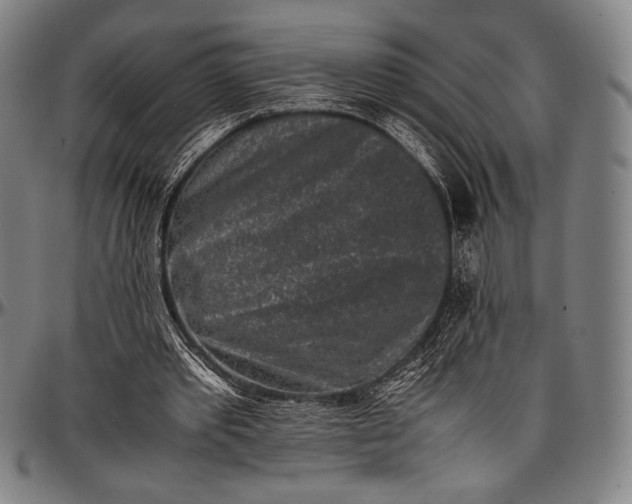 X0000097000389200802291152