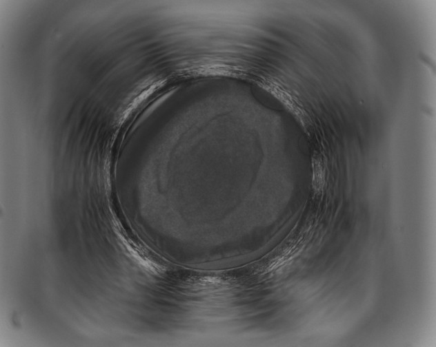 X0000097000390200802291152