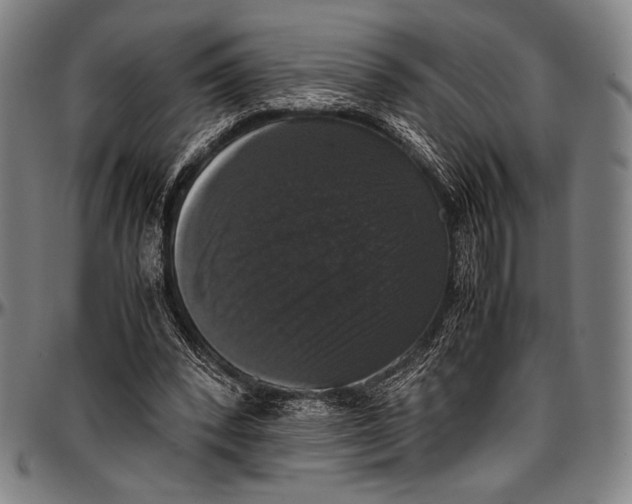 X0000097000392200802291152