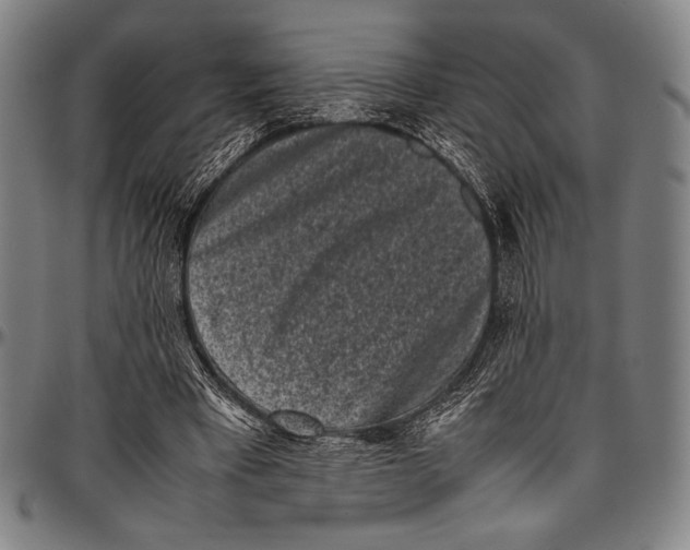 X0000097000393200802291152