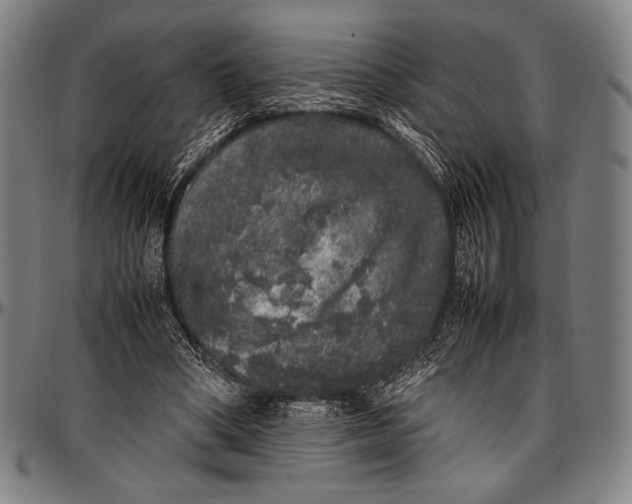 X0000097000394200802291152