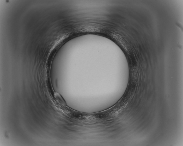 X0000097000395200802291152