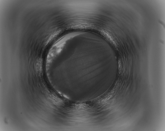 X0000097000396200802291152