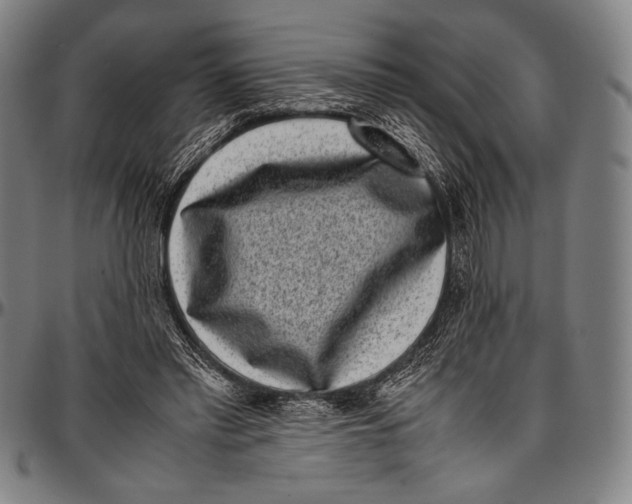 X0000097000397200802291152