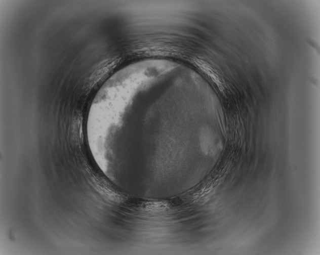 X0000097000398200802291152