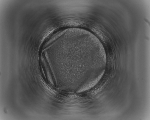 X0000097000399200802291152