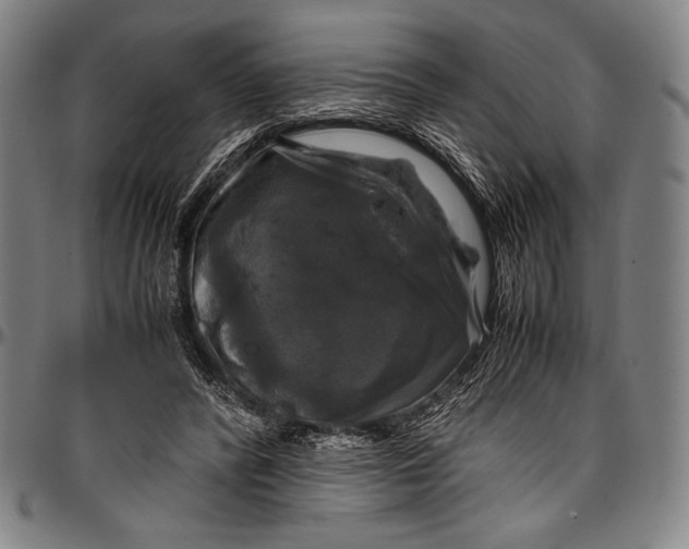 X0000097000400200802291152