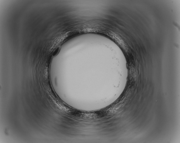 X0000097000401200802291152