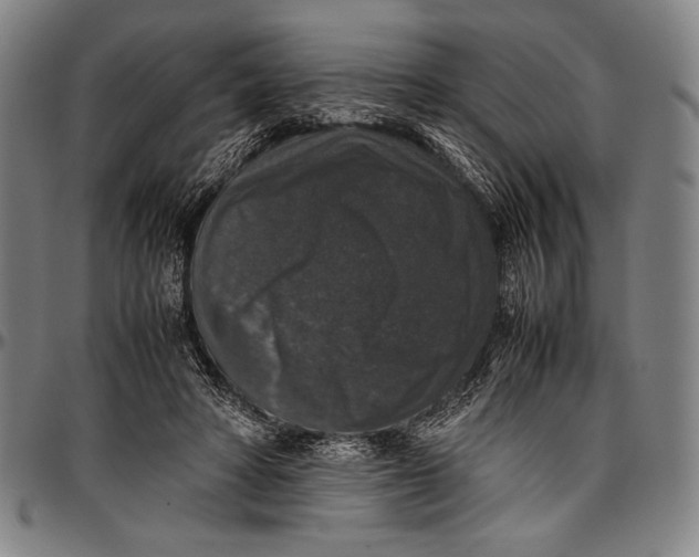 X0000097000402200802291152