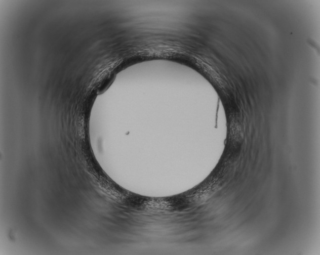 X0000097000403200802291152