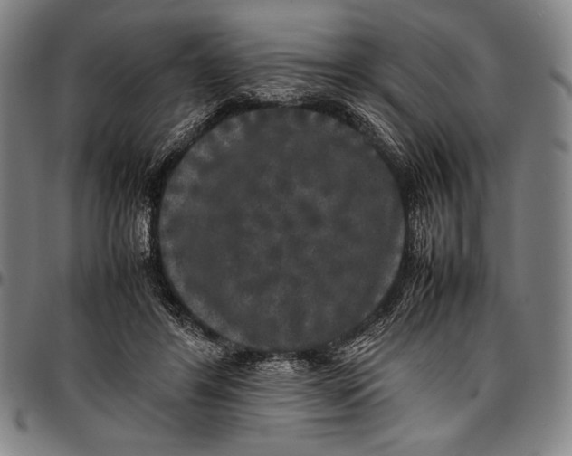 X0000097000404200802291152