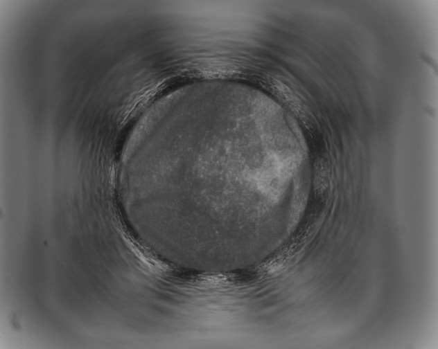 X0000097000405200802291152